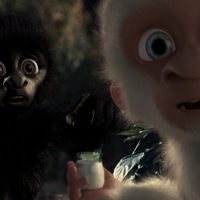Foto de 'Snowflake, the White Gorilla'