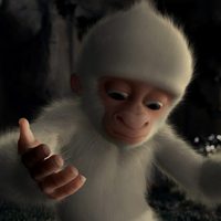 Foto de 'Snowflake, the White Gorilla'