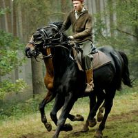 War Horse (Caballo de batalla)