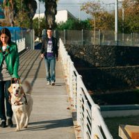 Seis puntos sobre Emma