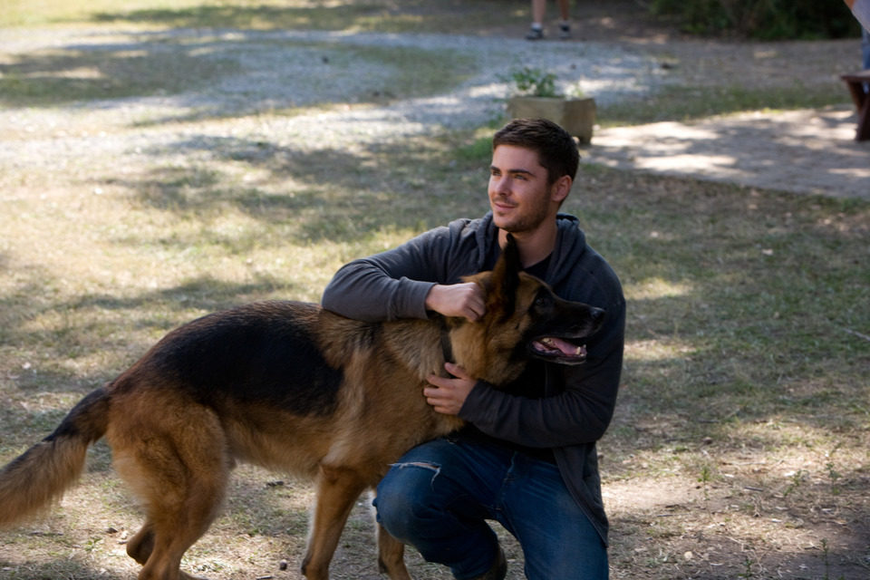 The Lucky One