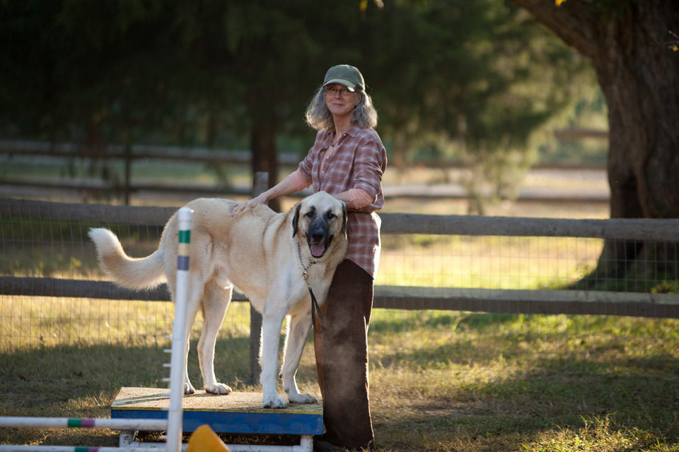 The Lucky One