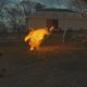 Imagen de la película Moonrise Kingdom
