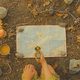 Imagen de la película Moonrise Kingdom
