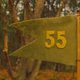Imagen de la película Moonrise Kingdom