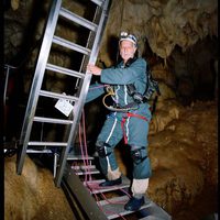 La cueva de los sueños olvidados