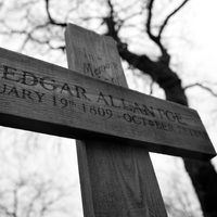 El enigma del cuervo