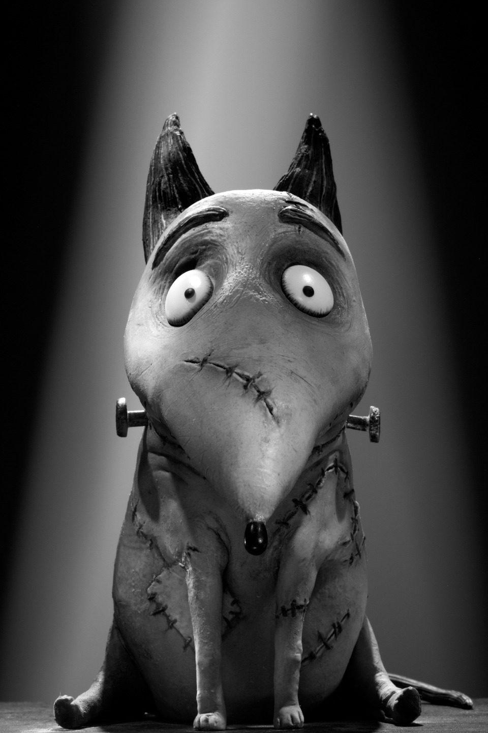 Imagen de la película Frankenweenie