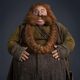 Imagen de la película The Hobbit: An Unexpected Journey