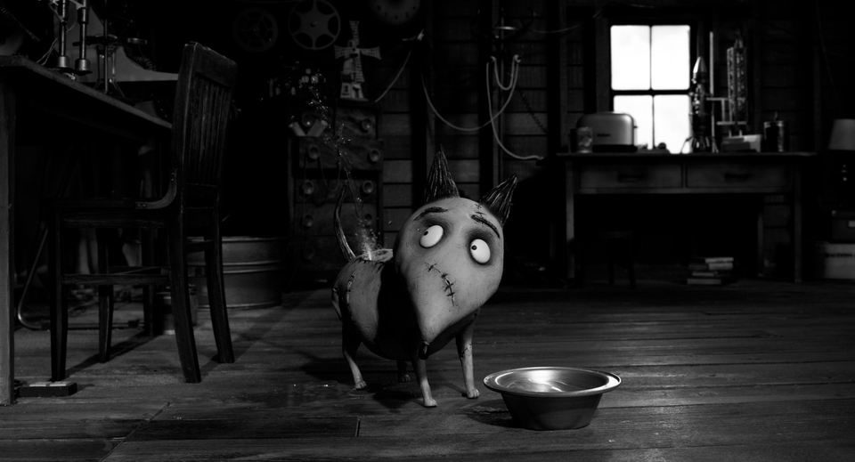 Imagen de la película Frankenweenie