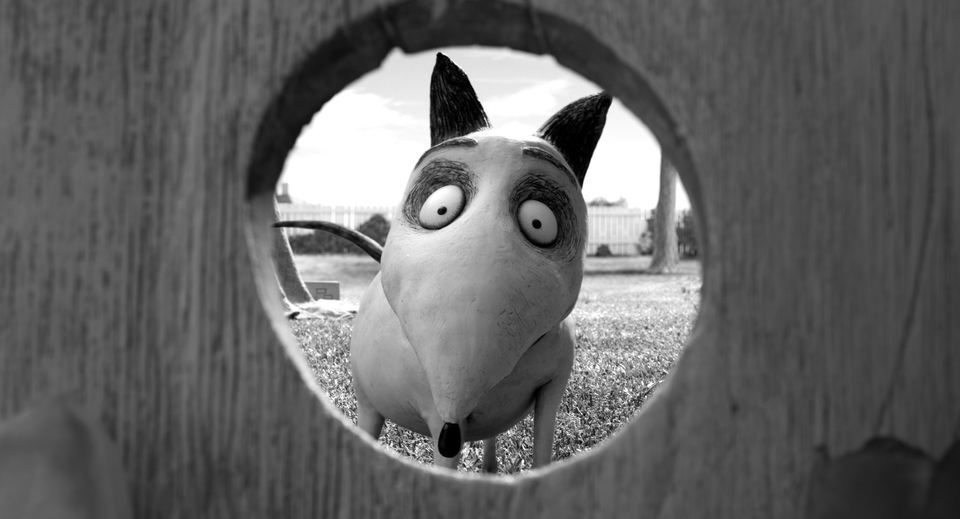 Imagen de la película Frankenweenie