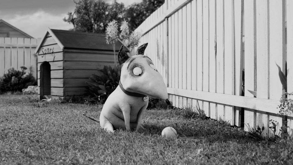 Imagen de la película Frankenweenie