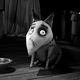 Imagen de la película Frankenweenie