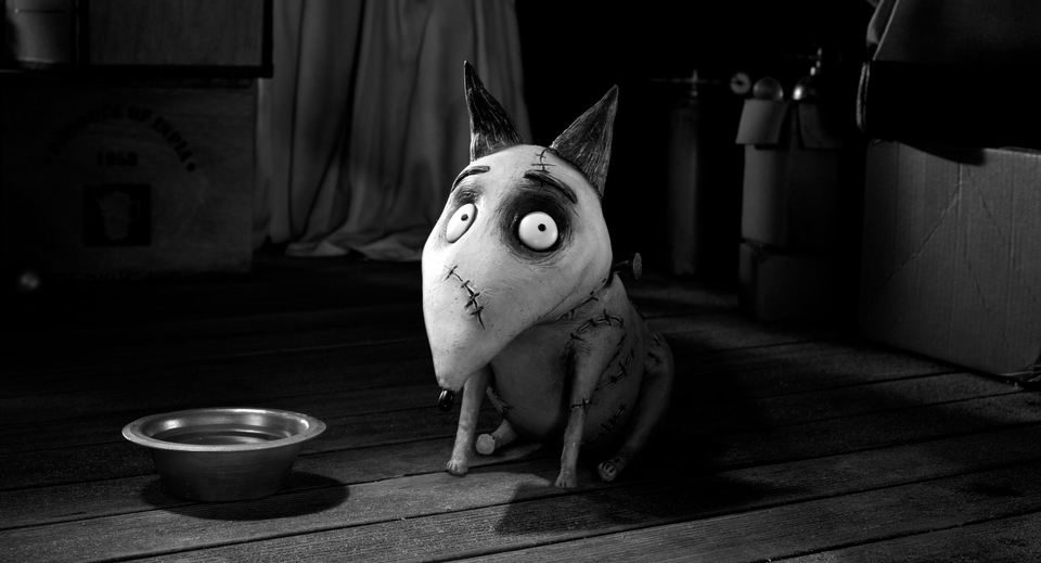 Imagen de la película Frankenweenie