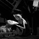 Imagen de la película Frankenweenie