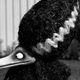 Imagen de la película Frankenweenie