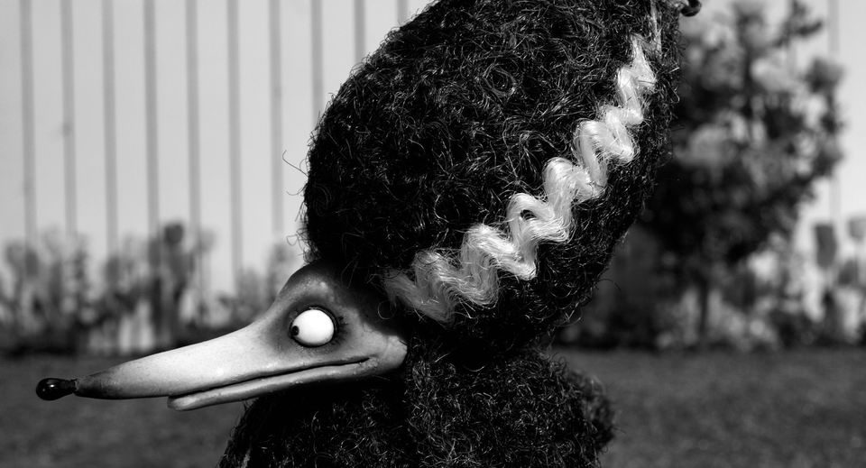 Imagen de la película Frankenweenie