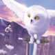 Imagen de la película Tinkerbell and the Secret of the Wings