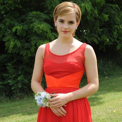 The Perks of Being a Wallflower