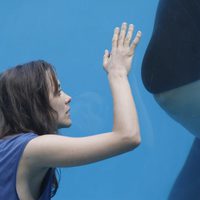 Foto de 'Rust & Bone'