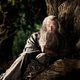 Imagen de la película The Hobbit: An Unexpected Journey