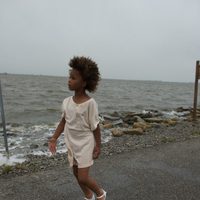 Bestias del sur salvaje