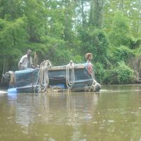 Bestias del sur salvaje