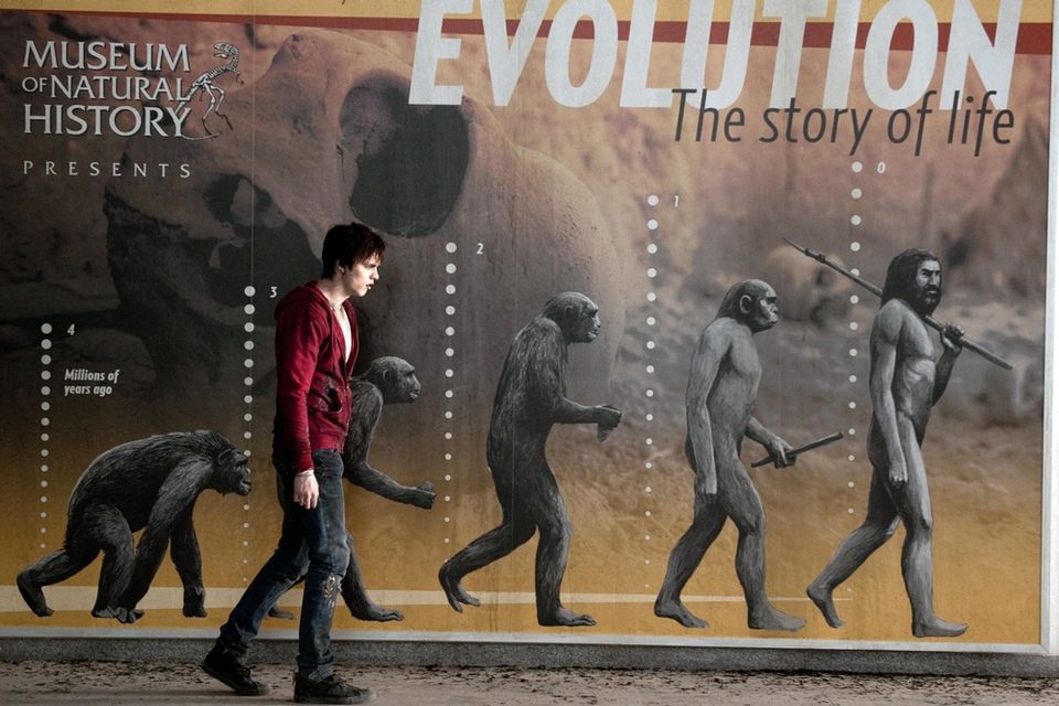 Imagen de la película Warm Bodies