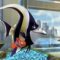 Foto de 'Finding Nemo'