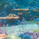 Imagen de la película Finding Nemo