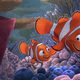 Imagen de la película Finding Nemo