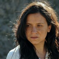 Violeta se fue a los cielos