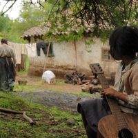 Violeta se fue a los cielos