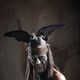Imagen de la película The Lone Ranger