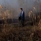 Imagen de la película Mood Indigo