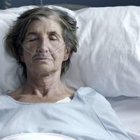 Amaren eskuak (Las manos de mi madre)