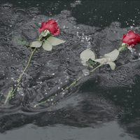 Amaren eskuak (Las manos de mi madre)