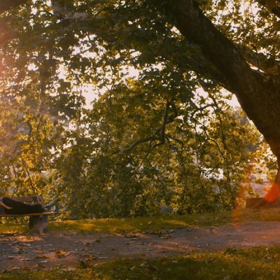 Blue Is the Warmest Color