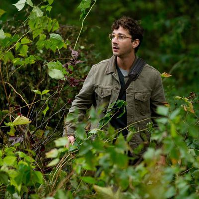 The Company You Keep