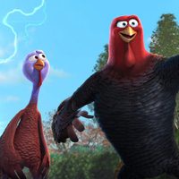Foto de 'Free Birds'