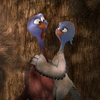 Foto de 'Free Birds'