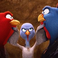 Foto de 'Free Birds'