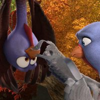 Foto de 'Free Birds'