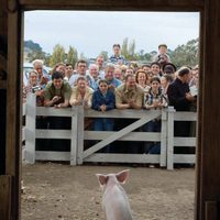 La telaraña de Carlota