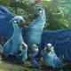 Imagen de la película Rio 2