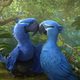 Imagen de la película Rio 2