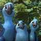 Imagen de la película Rio 2