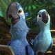 Imagen de la película Rio 2