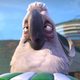 Imagen de la película Rio 2