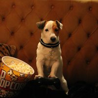 Foto de 'Pancho'